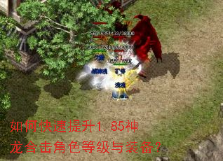 如何快速提升1.85神龙合击角色等级与装备? 如何快速提升1.85神龙合击角色等级与装备?
