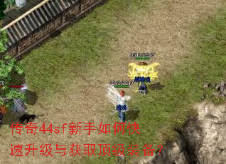 传奇44sf新手如何快速升级与获取顶级装备? 传奇44sf新手如何快速升级与获取顶级装备?