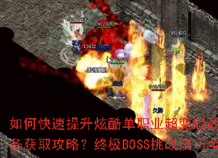 ��ο��������ſᵥְҵ�����ս��������װ����ȡ���ԣ��ռ�BOSS��ս����ȫ����