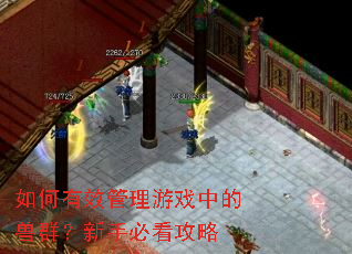 如何有效管理游戏中的兽群?新手必看攻略 如何有效管理游戏中的兽群?新手必看攻略