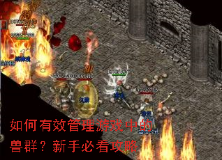 如何有效管理游戏中的兽群?新手必看攻略 如何有效管理游戏中的兽群?新手必看攻略