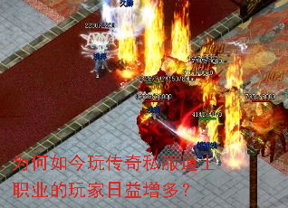 Ϊ������洫��˽����ʿְҵ������������ࣿ