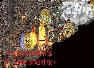 ������Ϸ���Ծ�ѡ��������ο���������