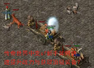 传奇世界中变sf新手如何快速提升战力与获取顶级装备? 传奇世界中变sf新手如何快速提升战力与获取顶级装备?