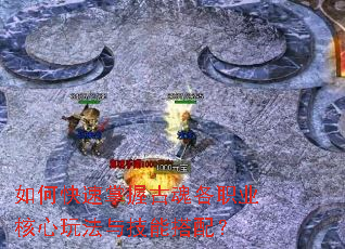 ��ο������չŻ��ְҵ�����淨�뼼�ܴ��䣿
