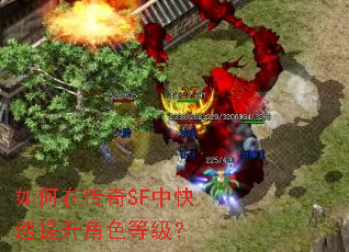 如何在传奇SF中快速提升角色等级? 如何在传奇SF中快速提升角色等级?