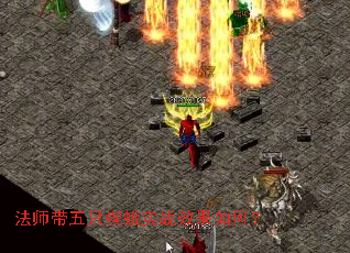 ��ʦ����ֻШ��ʵսЧ����Σ�