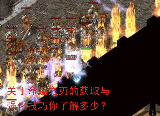 ��������֮�еĻ�ȡ��ǿ���������˽���٣�