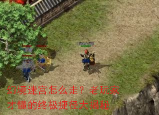 幻境迷宫怎么走?老玩家才懂的终极捷径大揭秘 幻境迷宫怎么走?老玩家才懂的终极捷径大揭秘