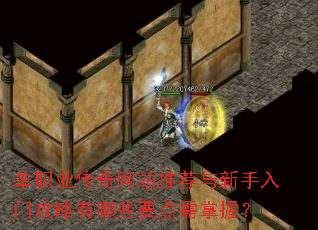 单职业传奇网站推荐与新手入门攻略有哪些要点需掌握? 单职业传奇网站推荐与新手入门攻略有哪些要点需掌握?