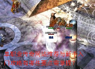 单职业传奇网站推荐与新手入门攻略有哪些要点需掌握? 单职业传奇网站推荐与新手入门攻略有哪些要点需掌握?